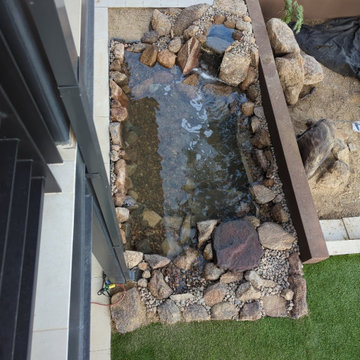 Goldfish pond