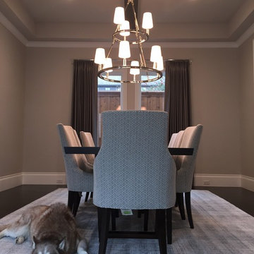 Drapery & Roman Shades - Transitional-