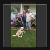 Stacy Gould's photo