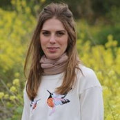 Lior Nechushtai's photo