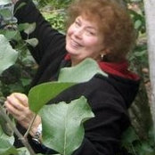 Phyllis Collins's photo