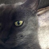 Christine Moreau's photo