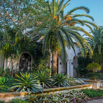 Tropical Estate Landscape