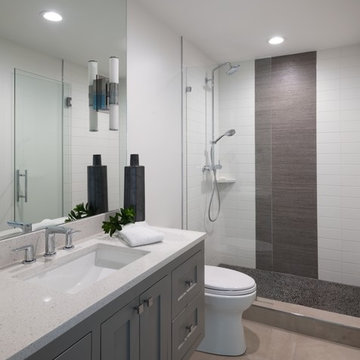 Contemporary Bathroom Remodel