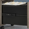 Pemberly Row 2 Drawer Mobile File Cabinet in Modern Hickory - Engineered Wood