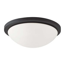 Hall Lights