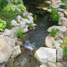 Ponds