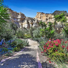 Backyard landscaping