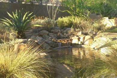This is an example of a mid-sized traditional partial sun backyard stone pond in San Diego.