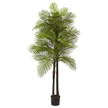 Double Robellini Palm Tree UV Resistant, Indoor/Outdoor