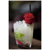 Tanya Hawthorne's photo