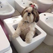 Luca Massaccesi's photo