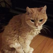 Sue Boller's photo