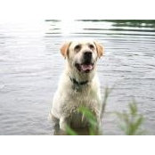 Amy Lundy's photo