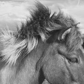 Alison Bean's photo