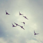 Cherie Garces's photo