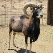 Maureen McNamara's photo