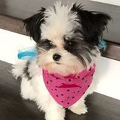 Heather Bennett's photo