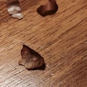 Duc Anh Le's photo