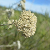 Fiona Copley's photo