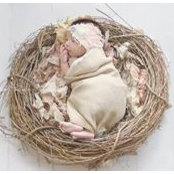 Sharon Snead's photo