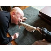 Robert Klein's photo