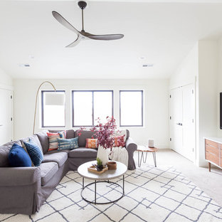 Danish home theater photo in Boise