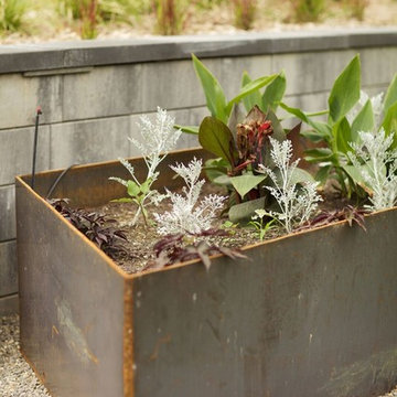 Contemporary Landscape Design