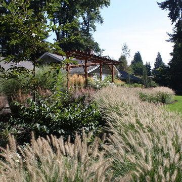 Grasses and Movement