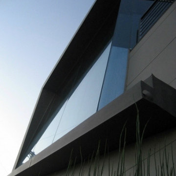Tigertail with Patrick Tighe