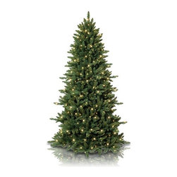 Slim Spruce Christmas Tree - Christmas Trees