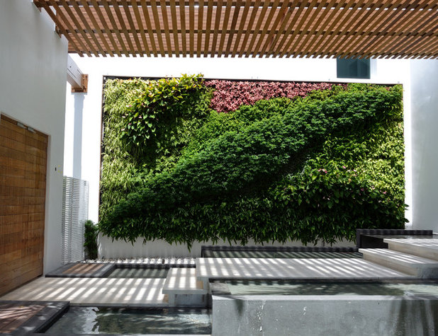 Giardino verticale: come crearlo in 7 facili passi Come realizzare un giardino verticale