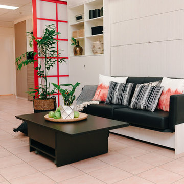 Micro Apartment - Wall bed with Sofa