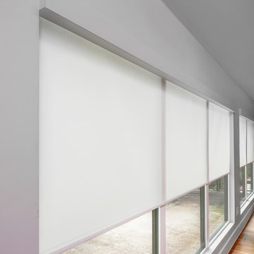 Privacy Shades