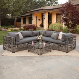 Tropical Outdoor Lounge Sets by Walker Edison