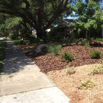 Stewart blvd clearwater