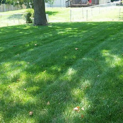 Lawn Care - Gardening And Lawn Care
