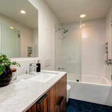 Nighthawk Guest bath