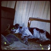 Damien Ferguson's photo