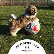 Kurt Gregersen's photo