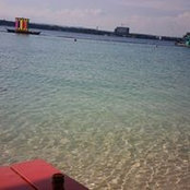 Phoebe Clau's photo