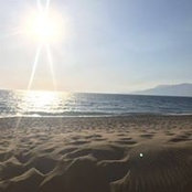 Marc Auer's photo