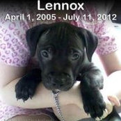 Jennifer Solenskyrescue's photo