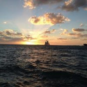 Carol Pondy's photo