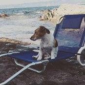 Valeria Russo's photo