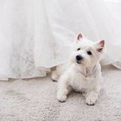 Bao Ling's photo