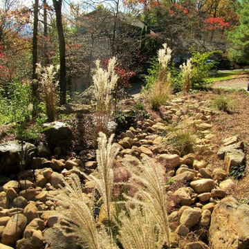Signal Mountain Rain Garden
