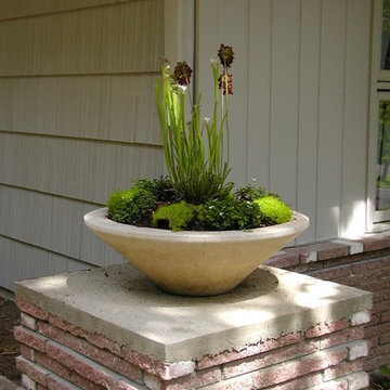 Forest Park renovation