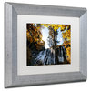 Philippe Hugonnard 'Waterfalls' Art, Silver Frame, White Matte, 14"x11"