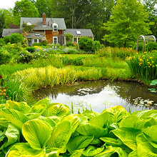 pond